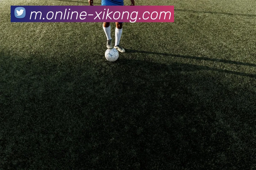 赛事专题整合